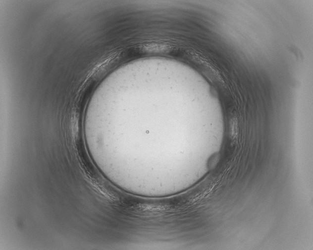 X0000115800733200912111209