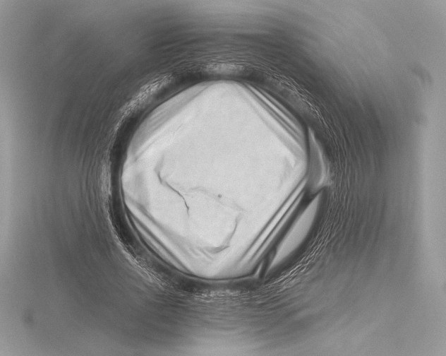 X0000115800734200912111209