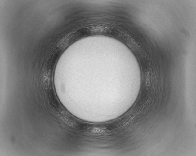 X0000115800737200912111209