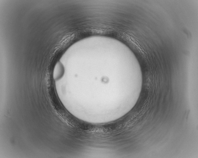 X0000115800738200912111209