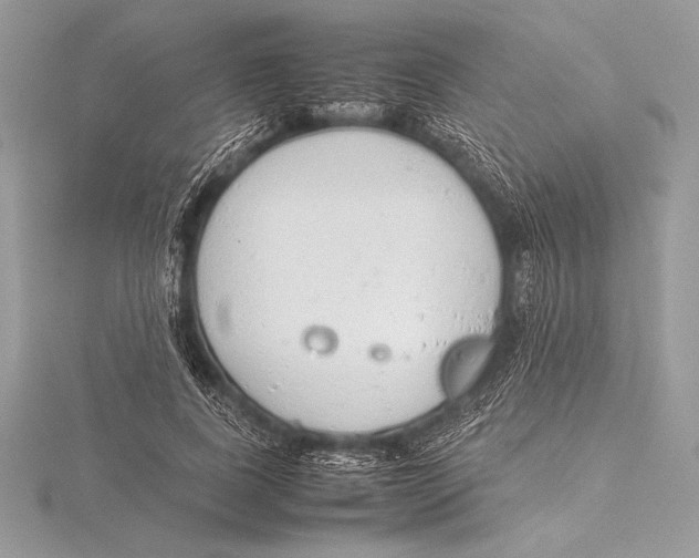 X0000115800739200912111209