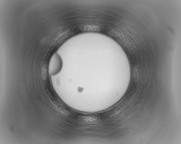 X0000115800741200912111209