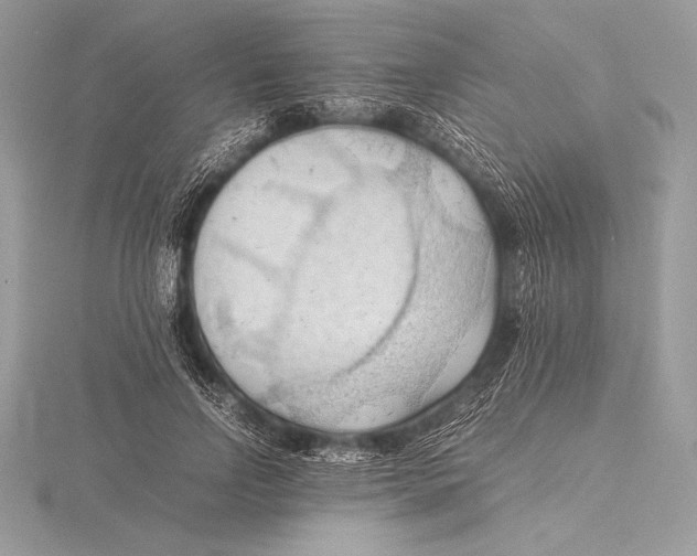 X0000115800742200912111209