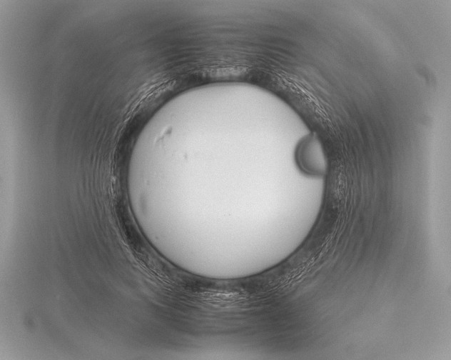 X0000115800743200912111209