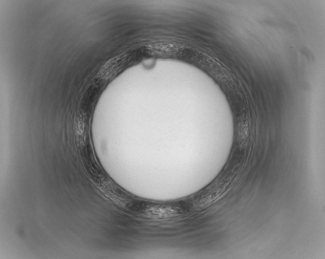 X0000115800749200912111209