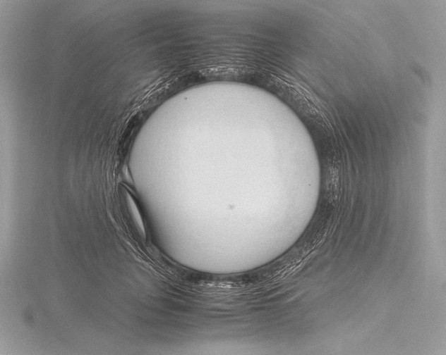 X0000115800751200912111209