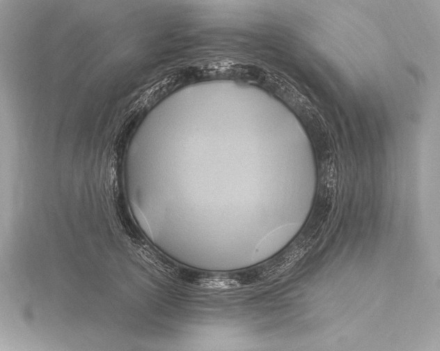 X0000115800754200912111209