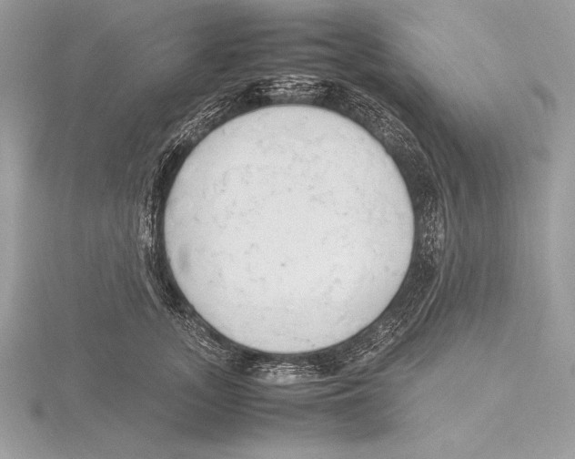 X0000115800755200912111209