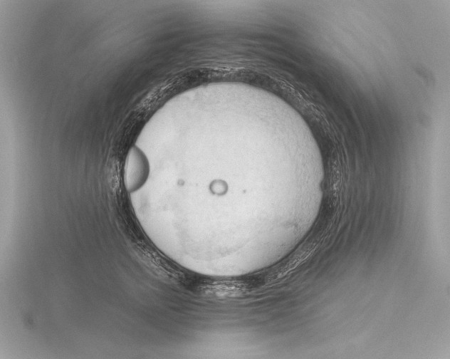 X0000115800758200912111209