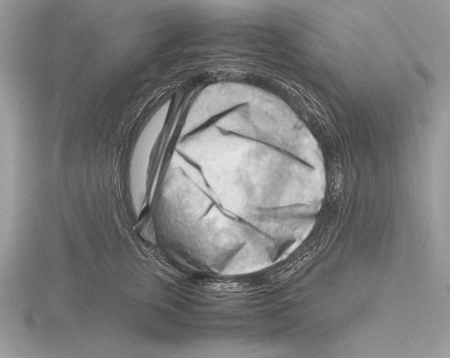 X0000115800759200912111209