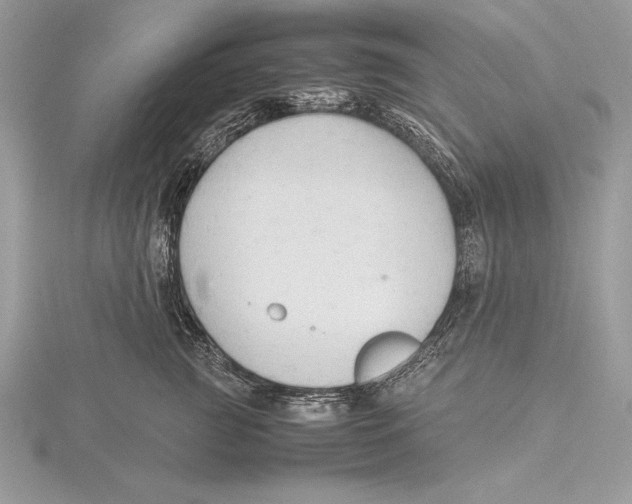 X0000115800761200912111209