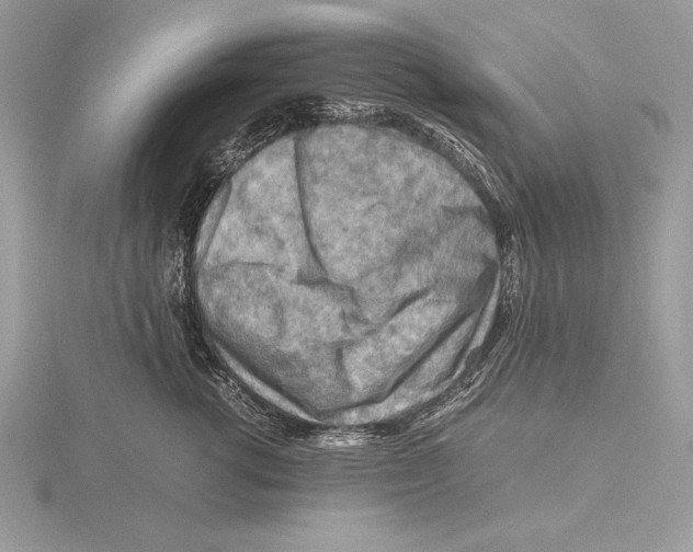 X0000115800762200912111209