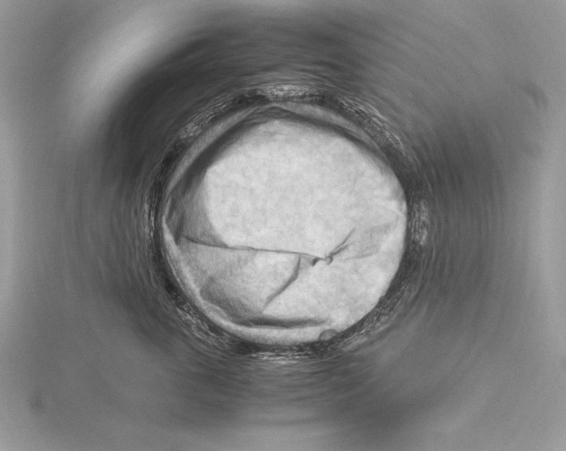 X0000115800763200912111209