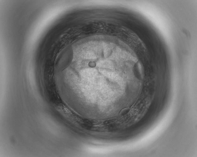 X0000115800766200912111209