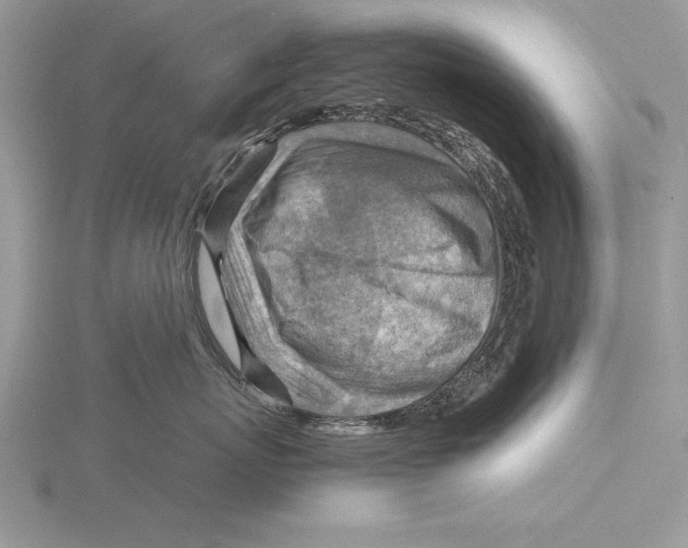 X0000115800767200912111209