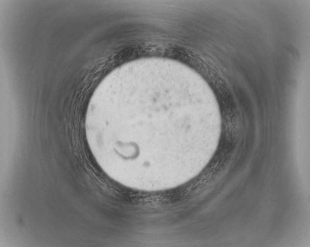 X0000115800769200912111209