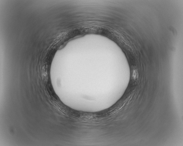 X0000115800771200912111209