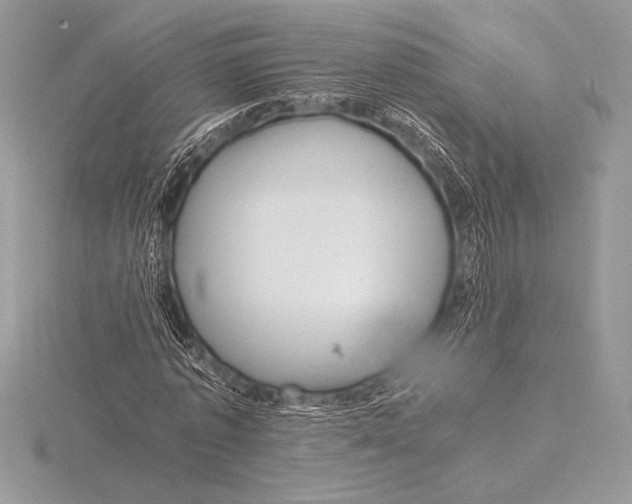 X0000115800773200912111209