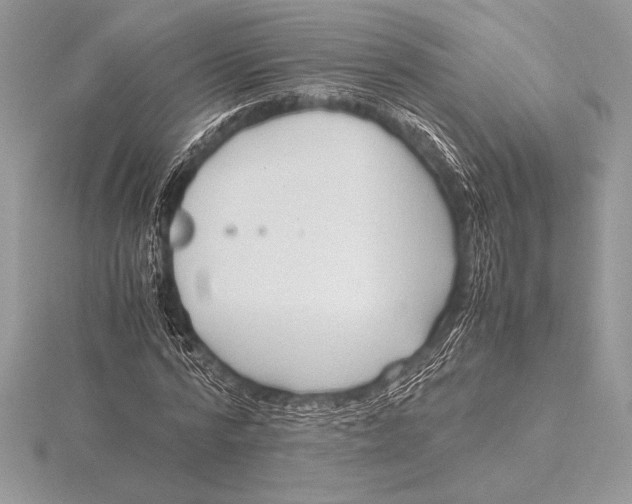 X0000115800776200912111209