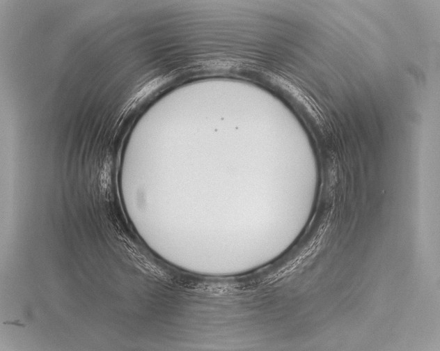 X0000115800778200912111209