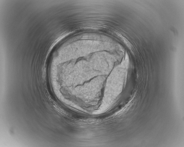 X0000115800779200912111209