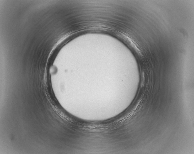 X0000115800780200912111209