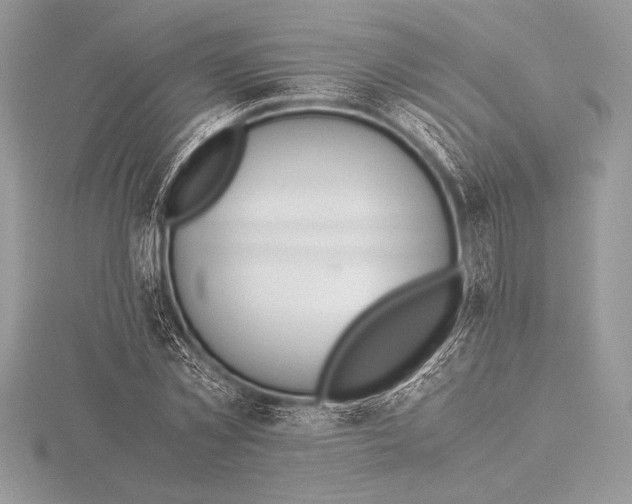 X0000115800781200912111208