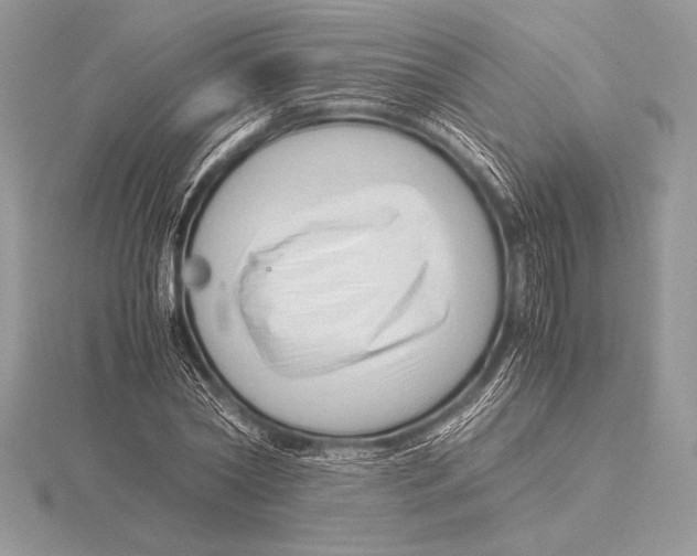 X0000115800782200912111208