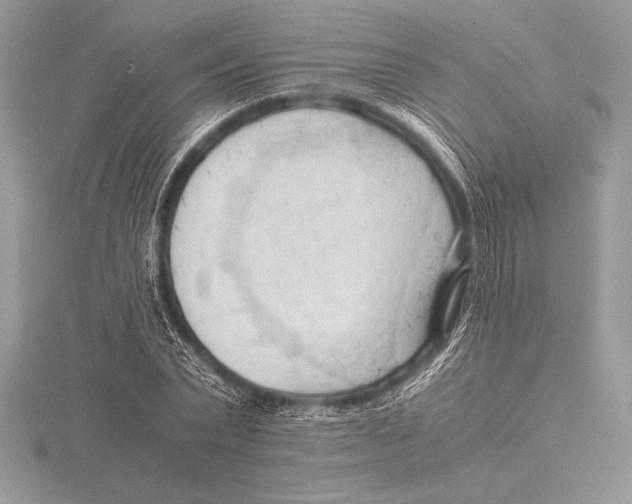 X0000115800783200912111208