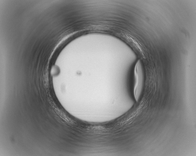 X0000115800784200912111208