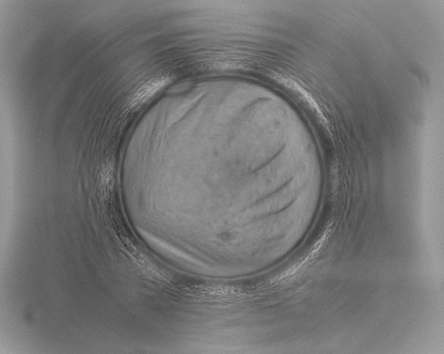 X0000115800785200912111208