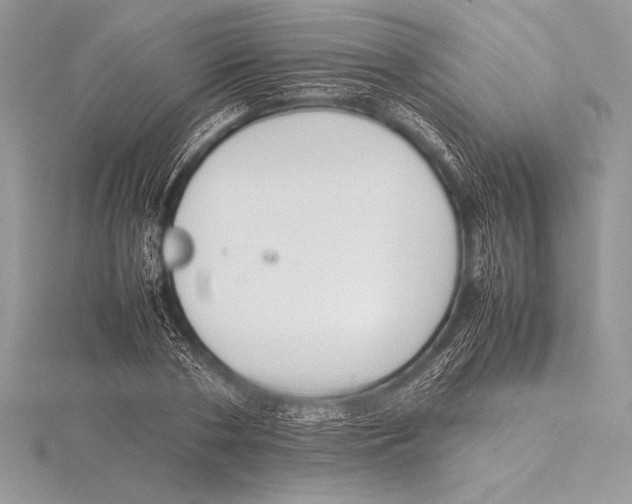 X0000115800786200912111208