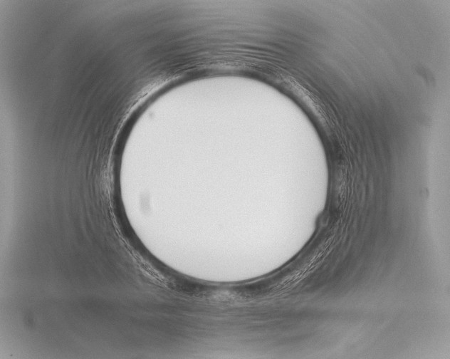 X0000115800787200912111208