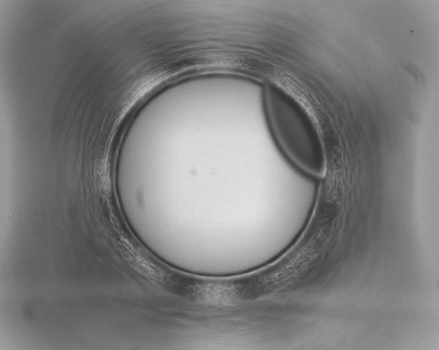 X0000115800789200912111208