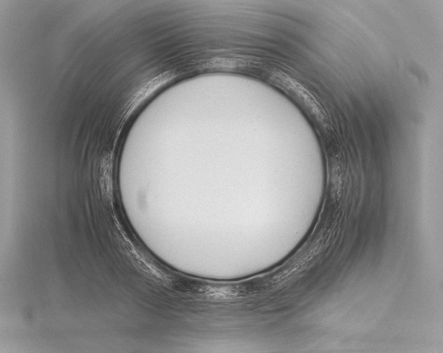 X0000115800794200912111208