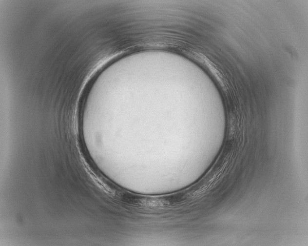 X0000115800795200912111208