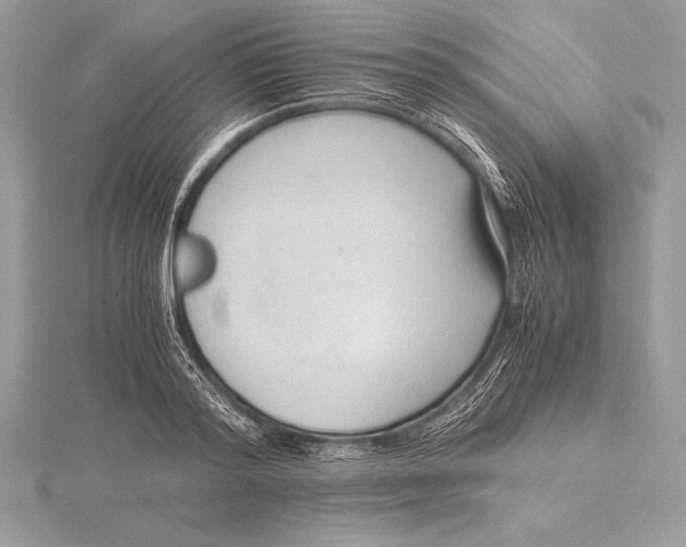 X0000115800796200912111208