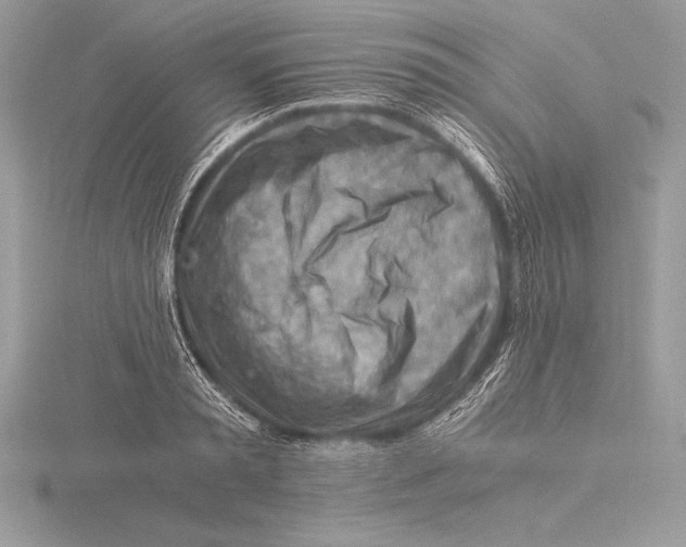 X0000115800797200912111208