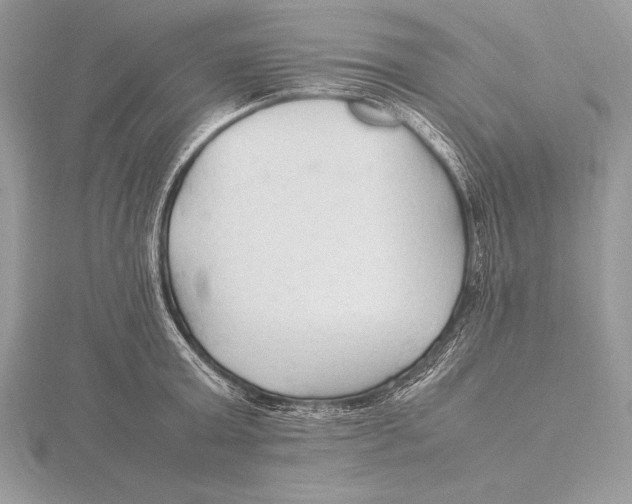 X0000115800803200912111208