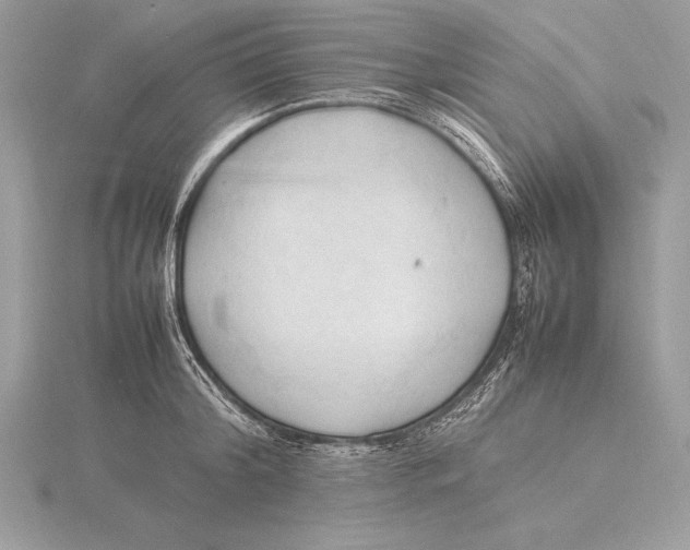 X0000115800804200912111208