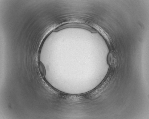 X0000115800805200912111208