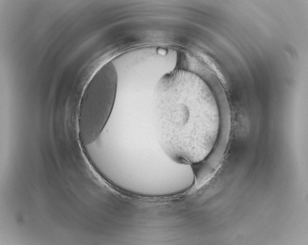 X0000115800810200912111208