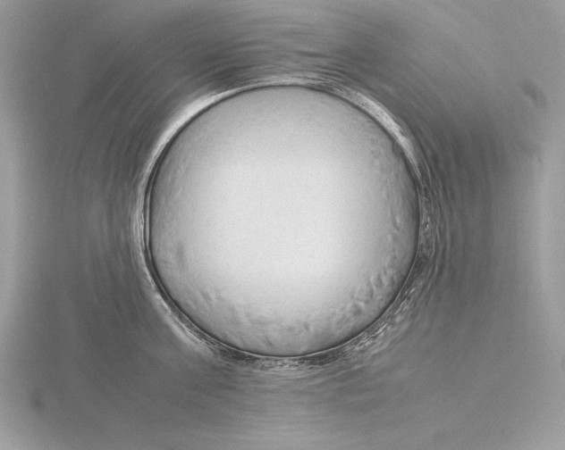 X0000115800811200912111208