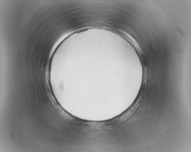 X0000115800812200912111208