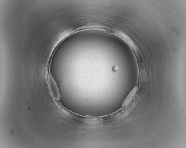 X0000115800813200912111208