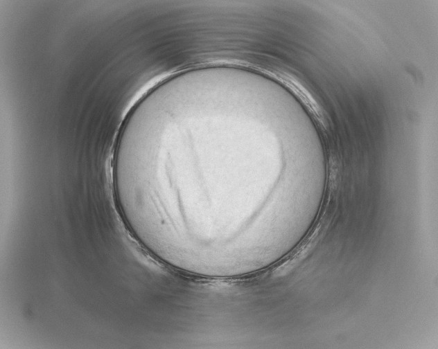 X0000115800814200912111208