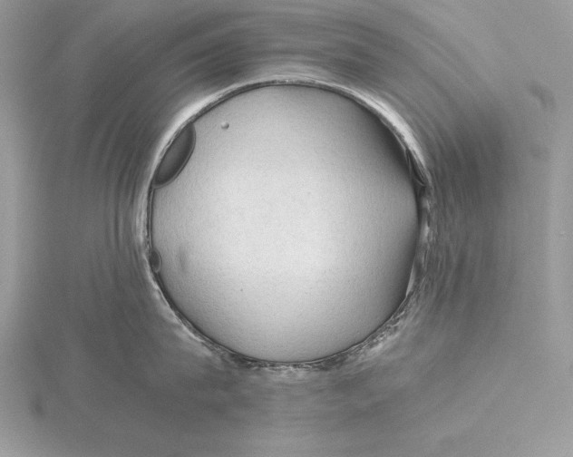 X0000115800815200912111208