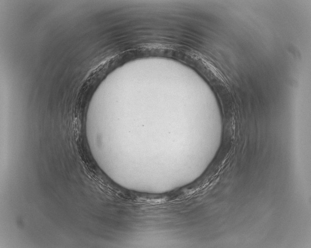 X0000115800821200912111207