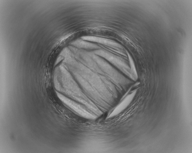 X0000115800822200912111207