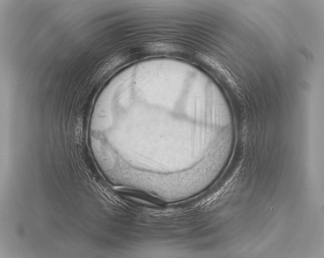 X0000115800825200912111208